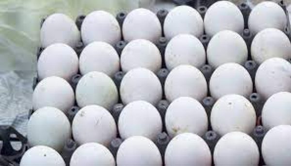 मस्जिद के निर्माण के लिए दान किये गए अंडे की नीलामी से 2.26 लाख रुपये मिले