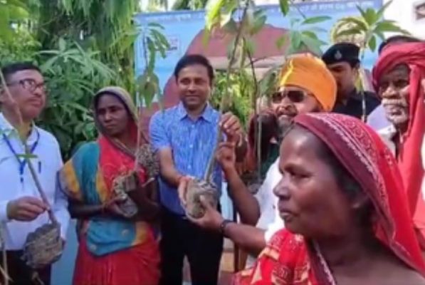 भागलपुर में पर्यावरण संतुलन के लिए अनोखी पहल, पहले 100 वोटर्स को दिए गए आम के पौधे