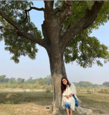 शहरी इलाकों में पेड़ों की कटाई अवैज्ञानिक और भयानक है : दीया मिर्जा