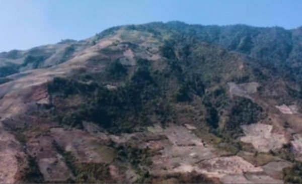 मणिपुर में पोस्ता की खेती के लिए 34 वर्षों में 877 वर्ग किमी वन क्षेत्र नष्ट कर दिया गया : सीएम बीरेन सिंह