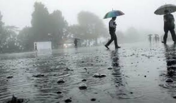 गुजरात के कई इलाकों में हुई भारी बारिश, पलसाना में मात्र दस घंटों में 153 मिमी वर्षा