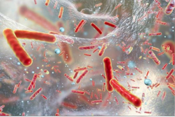 इंसानों के व्यवहार ने घातक बैक्टीरिया को महामारी बनाया : शोध