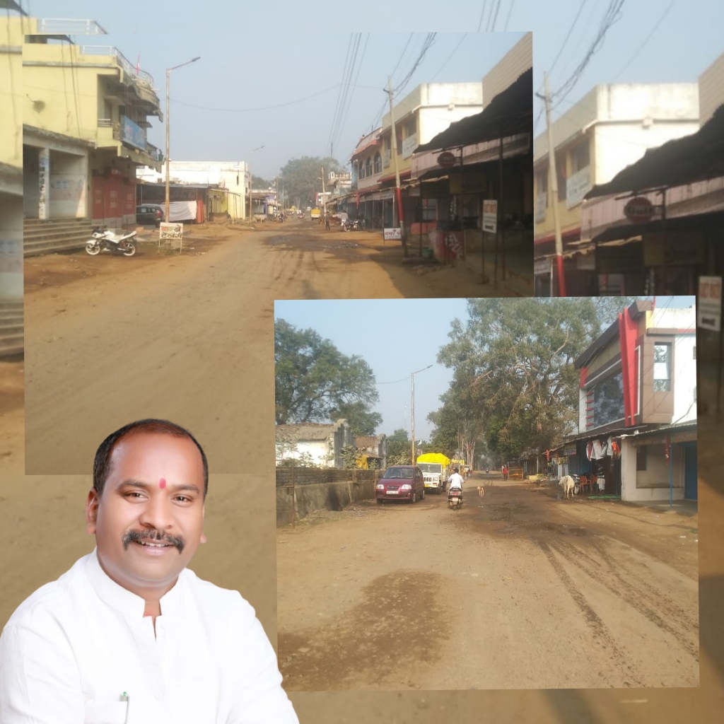 भरतपुर विकासखंड में विधायक ने दी 98 लाख के विकास कार्यों की सौगात