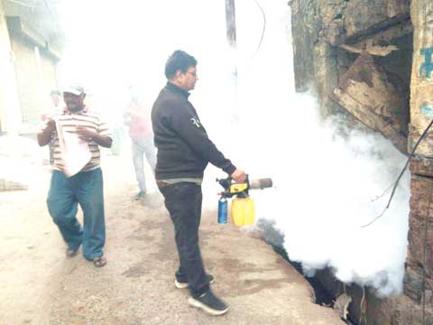 सत्यनारायण-पार्षदों की नाराजगी के बाद मच्छर मारने अभियान