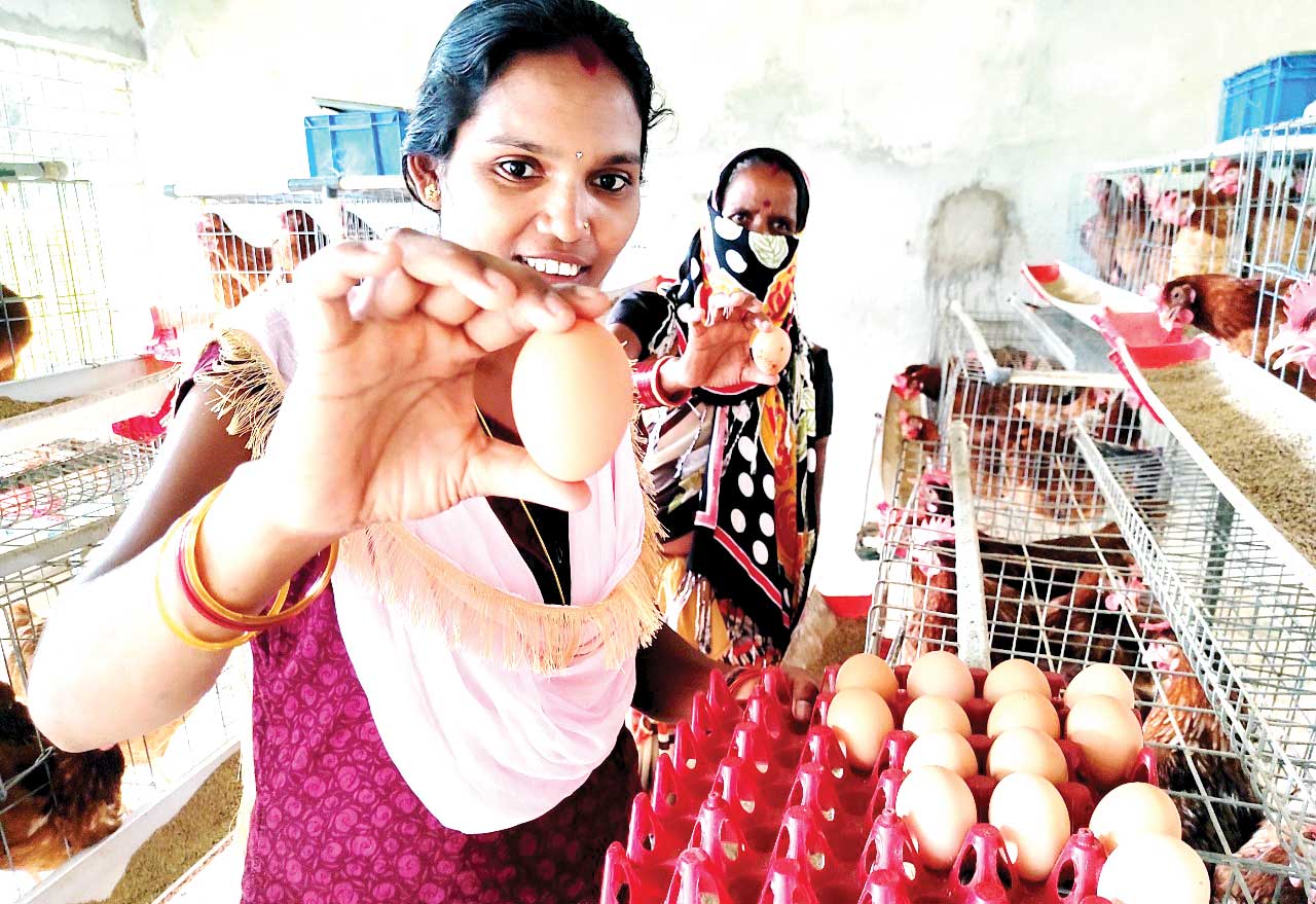 रोजगार के साथ ही कुपोषण को मात देने का काम, आंगनबाडिय़ों में अंडों की आपूर्ति  