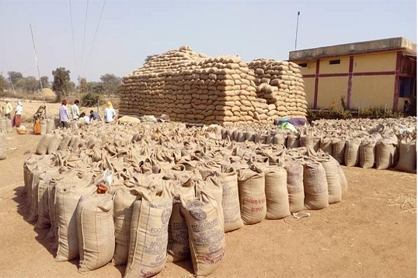 चावल बनाने धान के उठाव में तेजी, अब तक 75.20 लाख टन धान का उठा