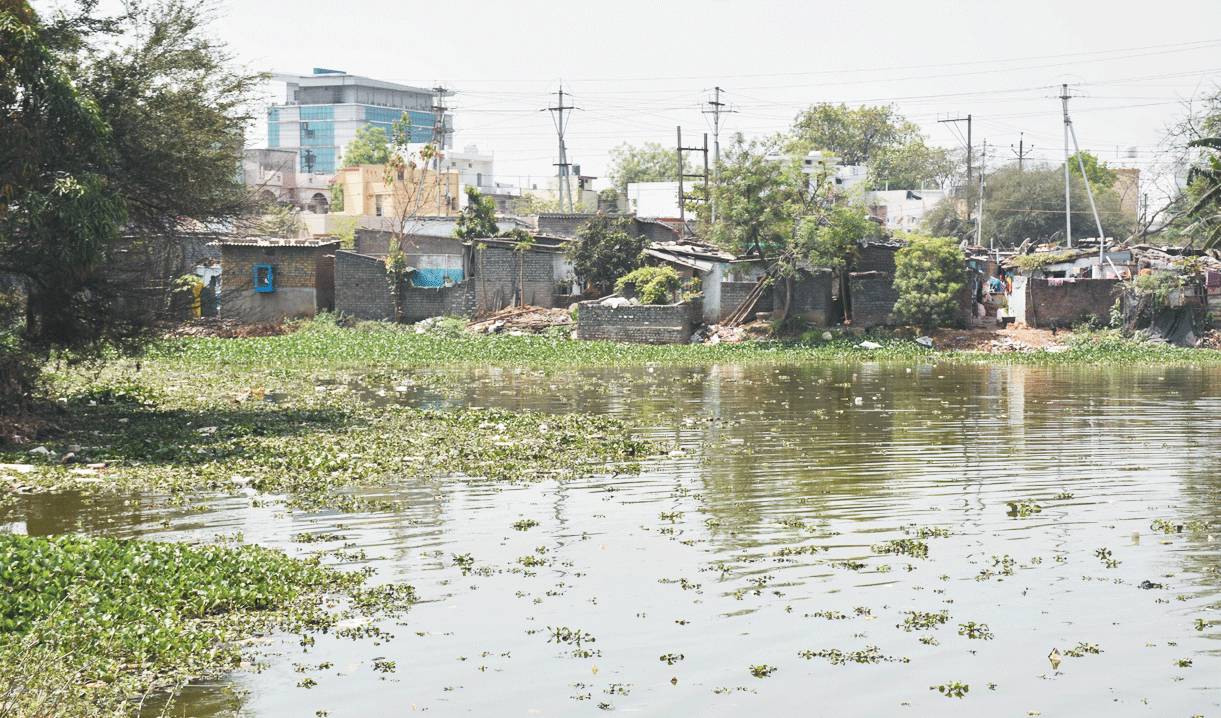  कबीर नगर फेस-2 में बढ़ रहा अवैध कब्जा, तालाब का बड़ा हिस्सा मलबे से पाटा जा रहा
