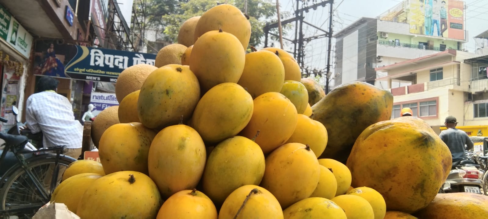 फलों के राजा आम की बाजार में आमद