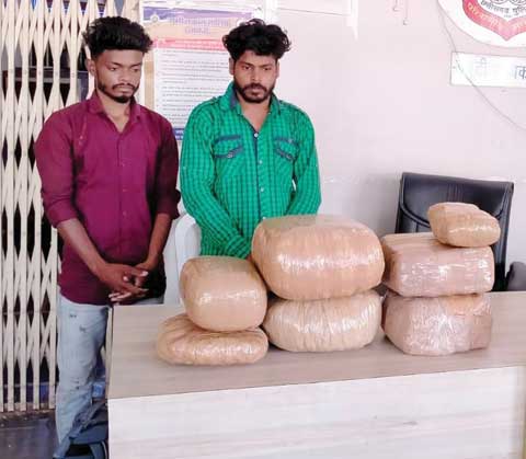 27 किलो गांजा के साथ मध्य प्रदेश के दो तस्कर गिरफ्तार