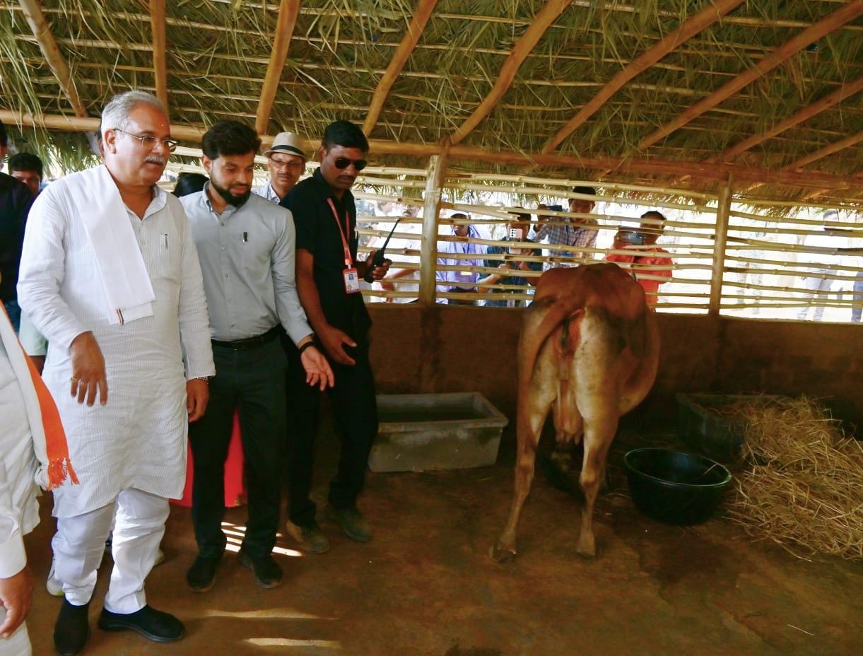 गौठान की गायों से निकलने वाले दूध की दर जल्द तय होगा