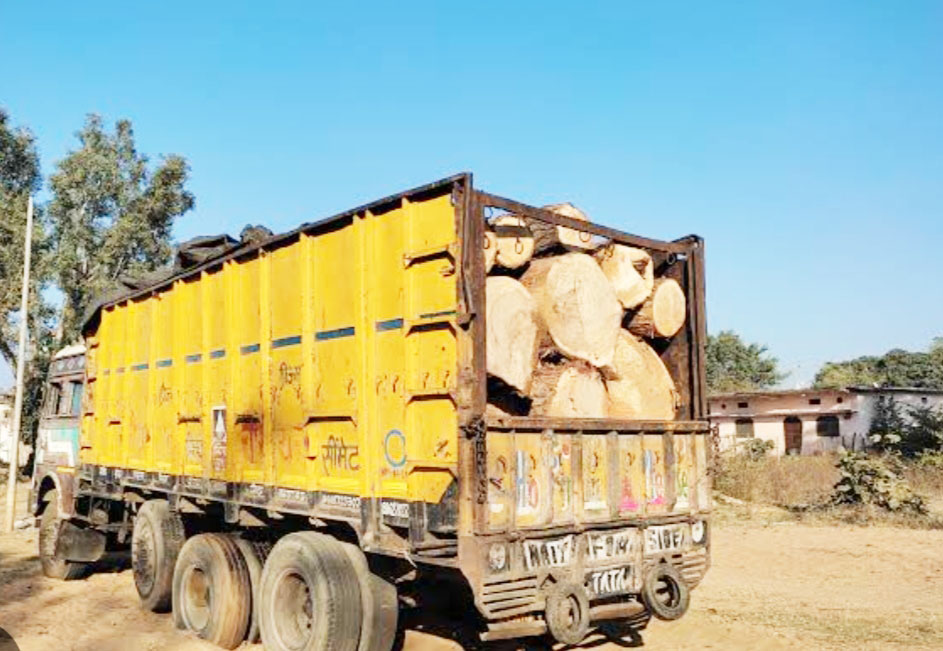 अवैध लकड़ी से भरा ट्रक एमपी पुलिस ने पकड़ा