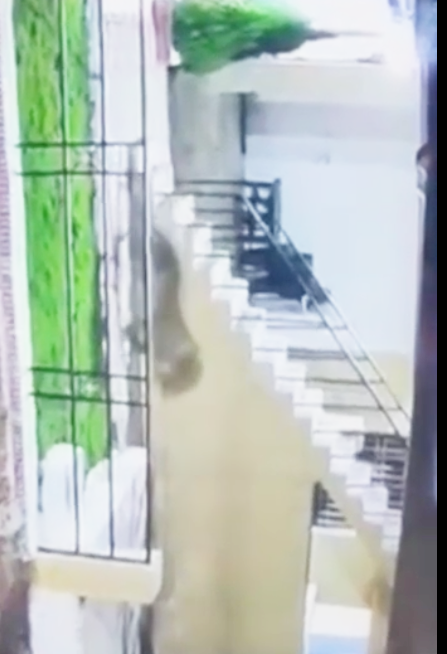 ​फार्म हाउस में घुसा तेंदुआ, कुत्ते के बच्चे को बनाया शिकार, वीडियो फैला