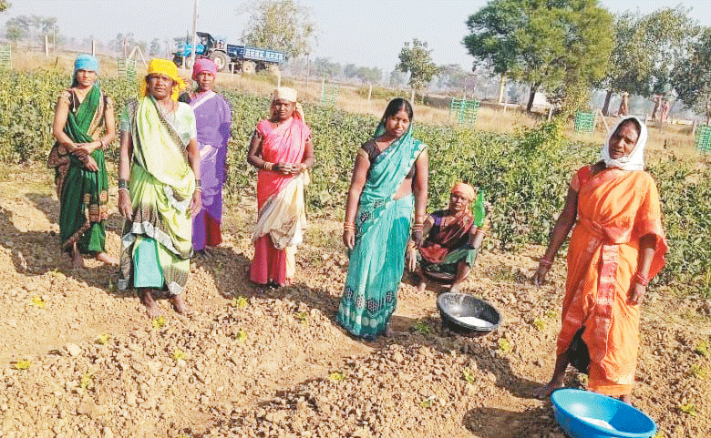 चारागाह में सब्जी उत्पादन कर आत्मनिर्भर हो रहीं स्व-सहायता समूह की महिलाएं
