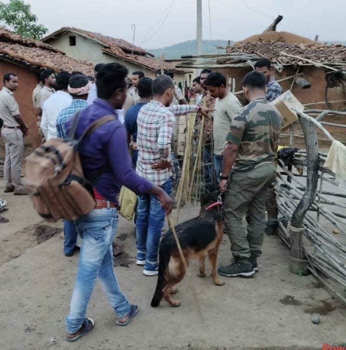 ओडिशा सीमा के गांवों में वन विभाग टीम की दबिश, बाघ की खाल के टुकड़े और कई वन्य प्राणियों के अवशेष बरामद, 5 गिरफ्तार 