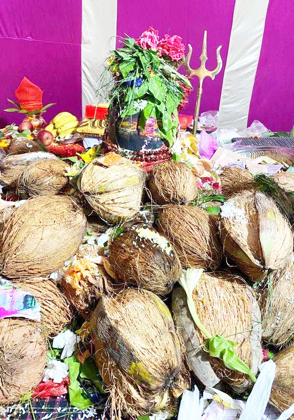 सिरसिदा में श्री महानंदेश्वर महादेव की प्राण प्रतिष्ठा