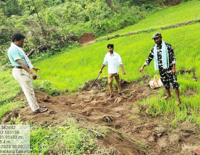 हाथी शावक के जन्म पर ग्रामीणों ने मनाया जन्मोत्सव