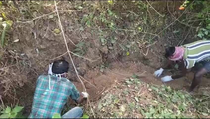 घर आये रिश्तेदार की हत्या कर लाश को जंगल में दफनाया