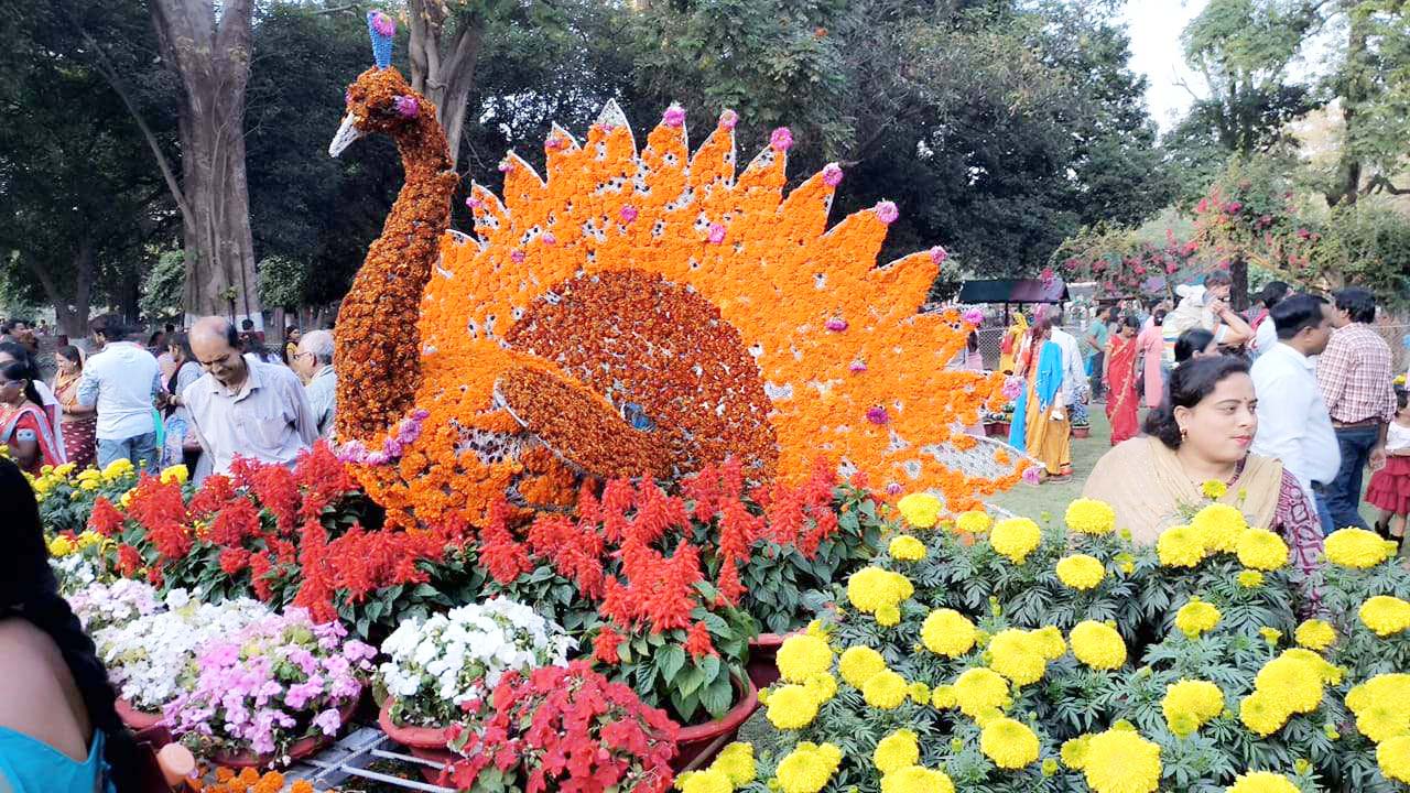 फ्लावर शो, मैत्री बाग में फूलों से बनी मनमोहक  कलाकृतियों के साथ सेल्फी लेते नजर आए पर्यटक