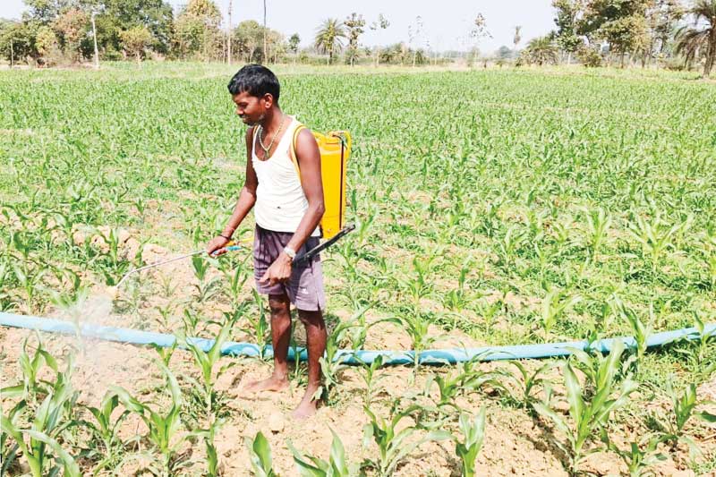प्रधानमंत्री कृषि सिंचाई योजना से दो-दो फसल लेकर किसान हो रहे लाभन्वित