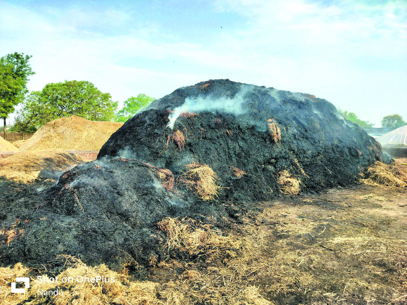 बरातियों के पटाखे से 20 एकड़ के पैरावट खरही में लगी आग