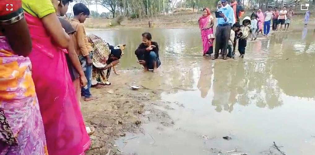 तालाब में नाग के जोड़े, गले में डाल कर घूमने से काटा और मौत