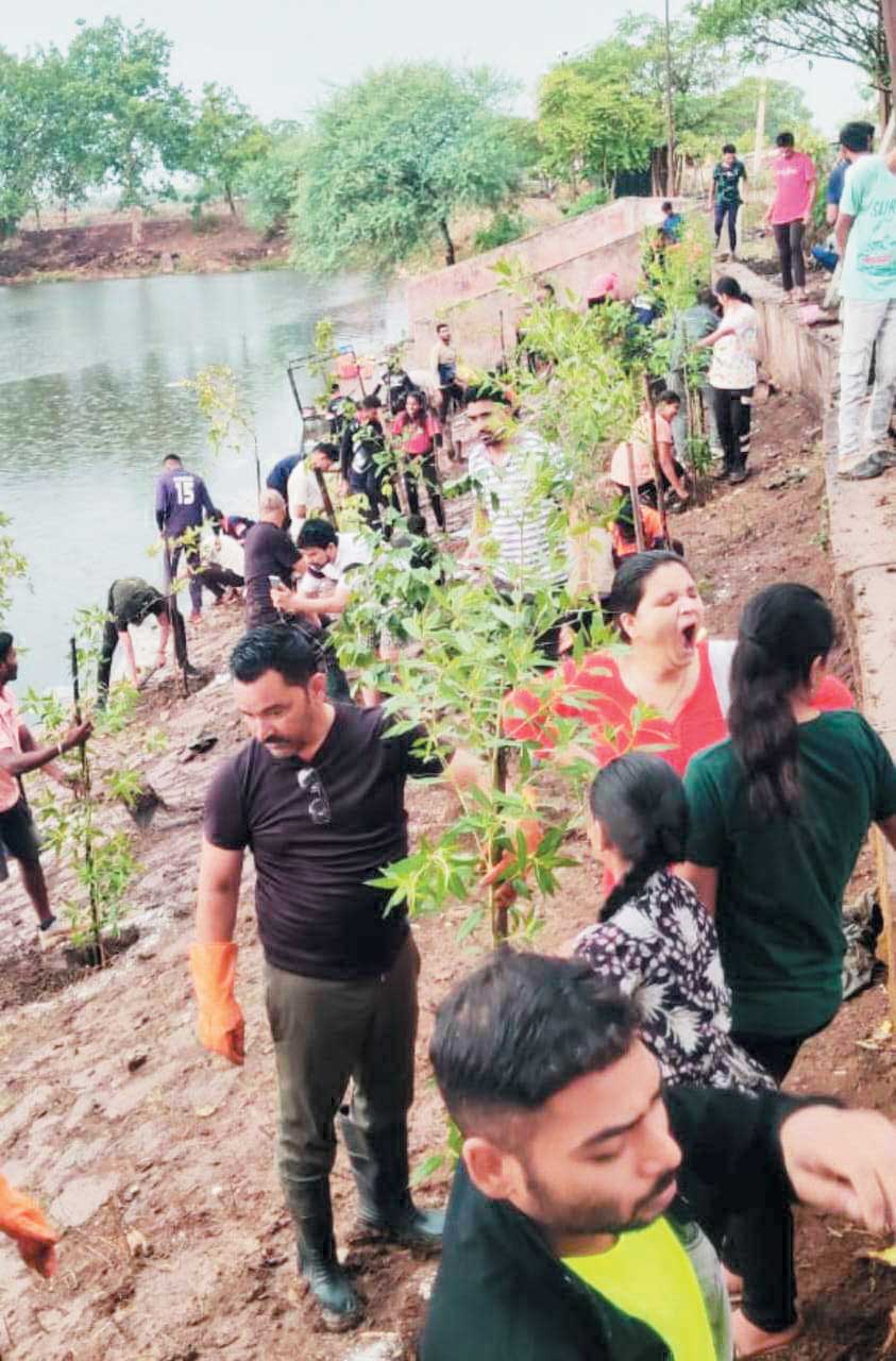 समाज सेवी संस्था सहयोग ने पर्यावरण दिवस पर रोपे गए 40 पौधे