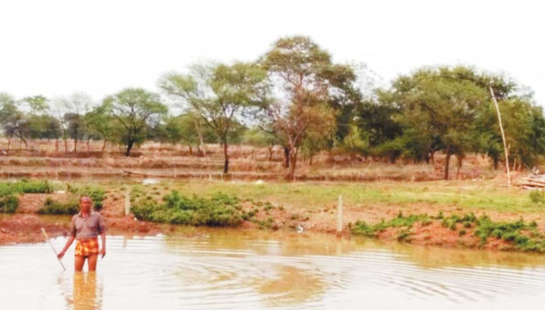 सरकारी जमीन पर कब्जा कर खेत की पानी निकासी बंद किया, शिकायत