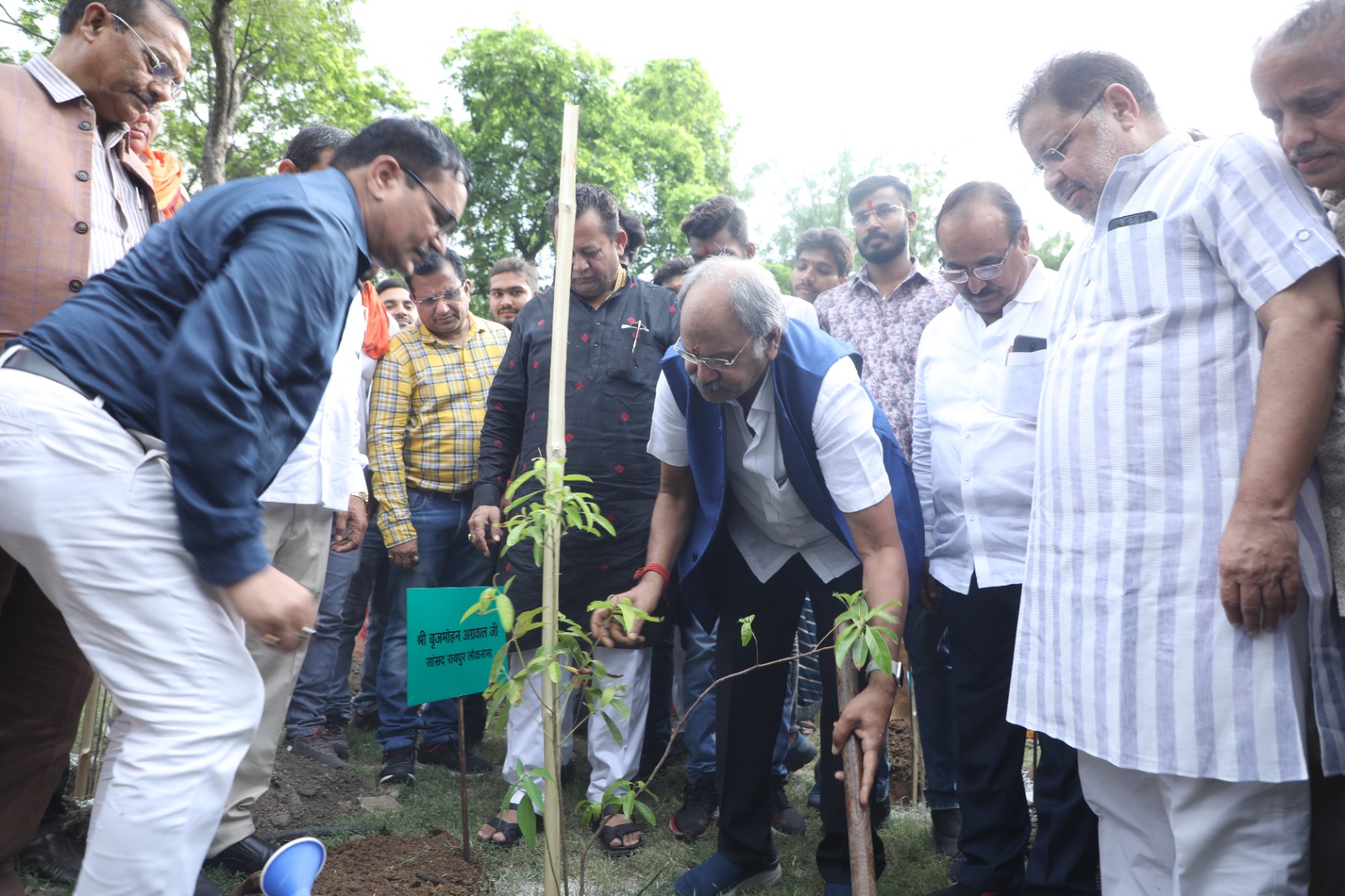 नरेय्या तालाब गार्डन में सांसद ने रोपा एक पेड़ माँ के नाम