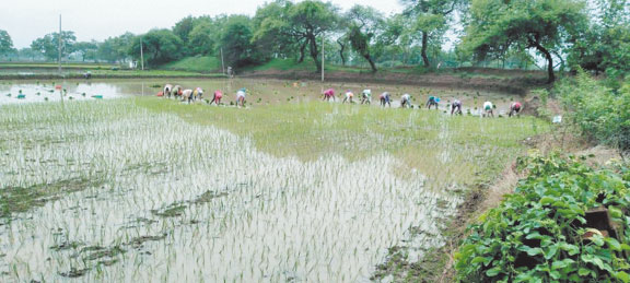 बिलासपुर, सरगुजा संभाग में कल भारी वर्षा