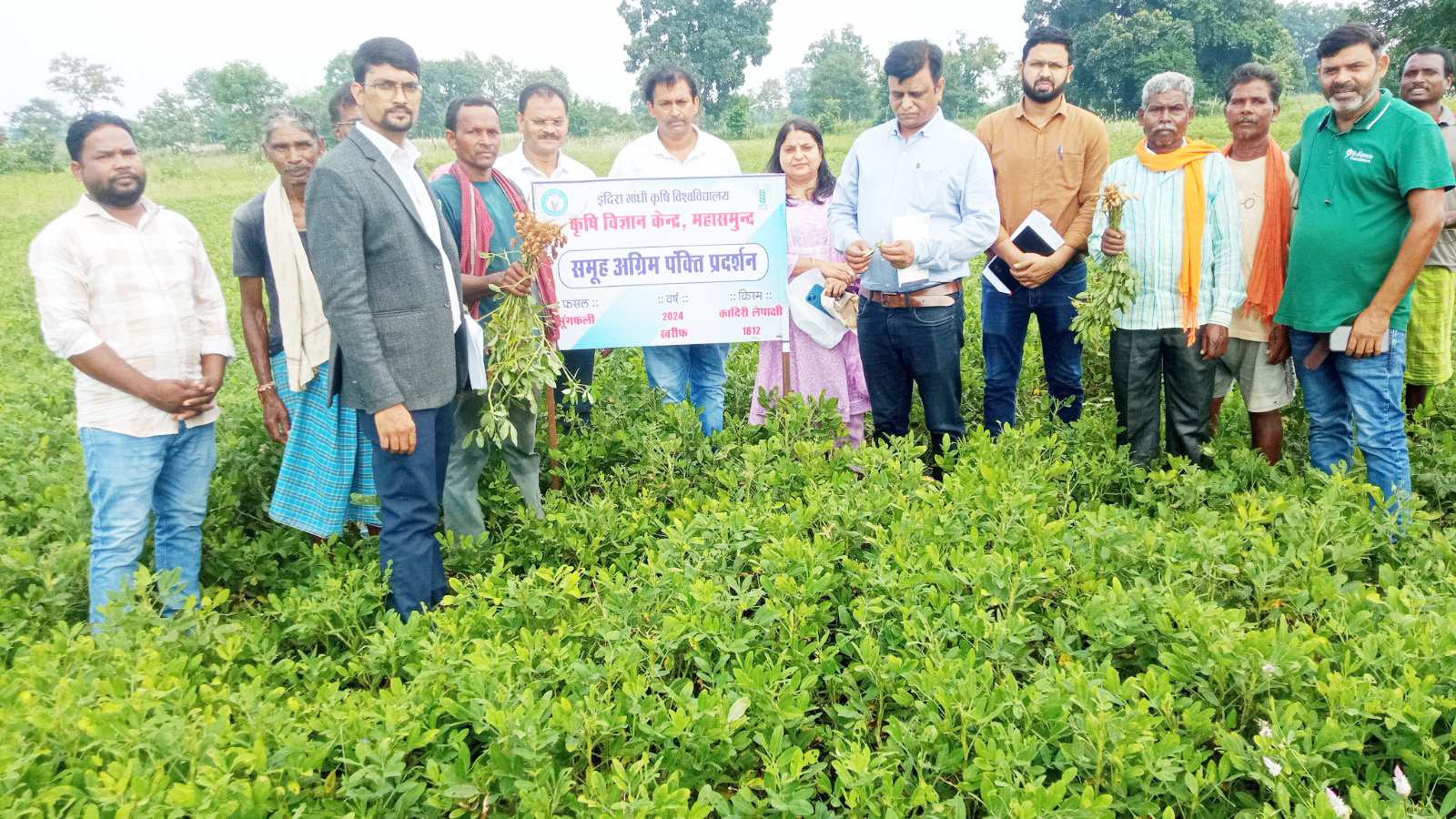 दलहन-तिलहन फसलों पर समूह अग्रिम पंक्ति प्रदर्शन