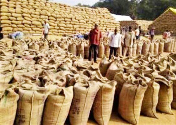 जिले में 1 लाख से अधिक किसानों ने बेचा धान