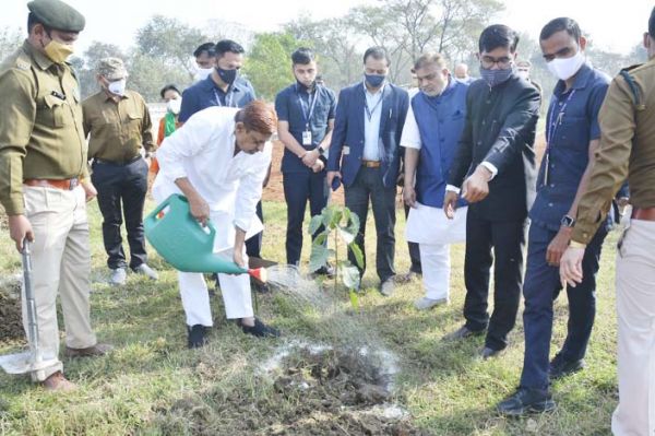 तालपुरी बायोडायर्वसिटी पार्क में वन मंत्री ने किया पौधरोपण