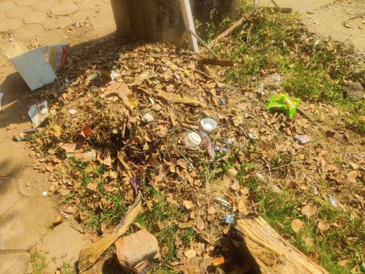 साफ सफाई में नगर पालिका बरत रही है लापरवाही, वार्डों में कचरे के ढेर
