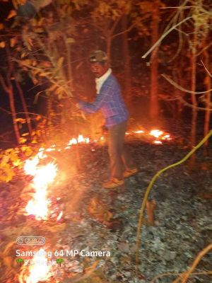 जंगलों में फैली आग, कर्मचारी हड़ताल पर