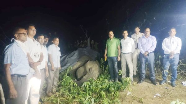 मासूम सहित 5 ग्रामीणों को मारने वाली मादा हाथी की मौत