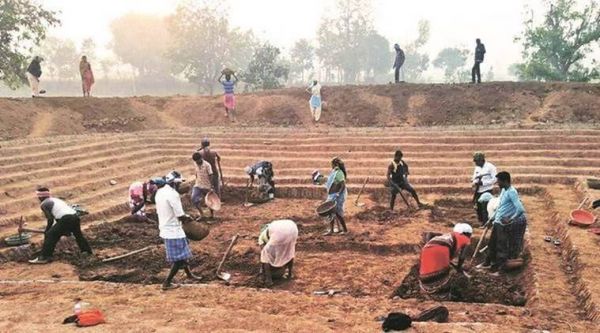 धमतरी जिले में 15 हजार मनरेगा मजदूरों को मिला रोजगार