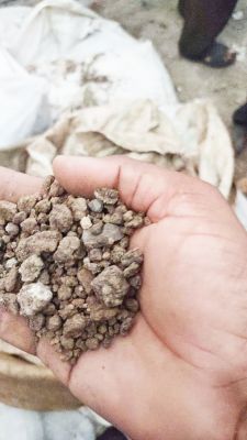 वर्मी कम्पोस्ट के नाम पर पत्थर-मिट्टी, किसान नाराज खाद खरीदने की बाध्यता खत्म करने की मांग