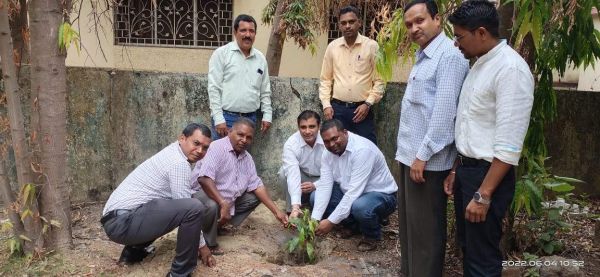 पर्यावरण दिवस : यूको बैंक बचेली परिसर में पौधरोपण