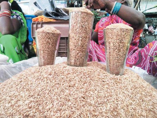 नांदगांव : बाजार में पहुंचा पसहर चावल, माताएं बच्चों की दीर्घायु के लिए रखेंगी कठिन व्रत