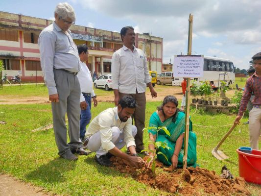 डीएवी मुख्यमंत्री पब्लिक स्कूल लालागुड़ा में मना हरियाली दिवस