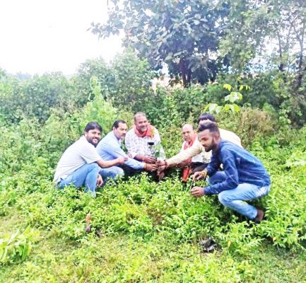 पीएम के जन्मदिन पर भाजपाईयों ने किया पौधरोपण  