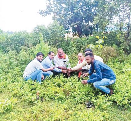  पीएम के जन्मदिन पर भाजपाईयों ने किया पौधरोपण 