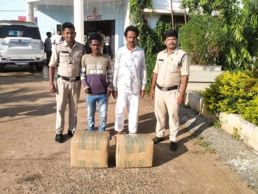 50 किलो गांजा संग रायपुर के 2 गिरफ्तार