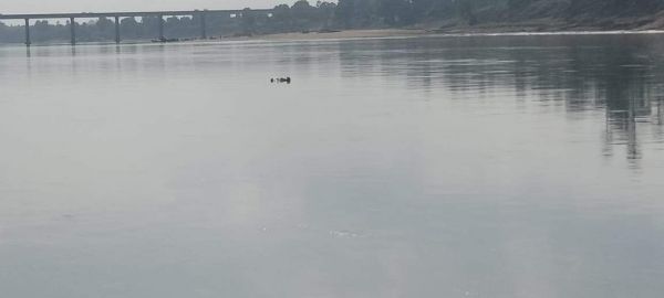 दो दिन बाद मिली शबरी नदी में डूबे बैंक कर्मी की लाश