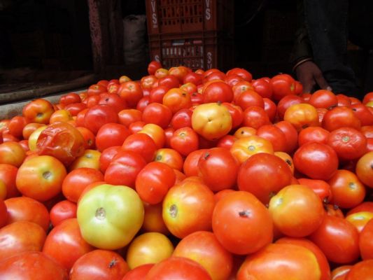 सब्जी बाजार में 5 रुपए किलो टमाटर का भाव
