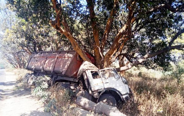 पेड़ से टकराई ट्रेलर, बाल-बाल बची चालक की जान