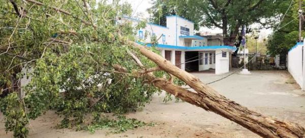 आंधी तूफान के साथ ओले गिरे, एसपी कार्यालय की बाउंड्रीवॉल में गिरा पेड़