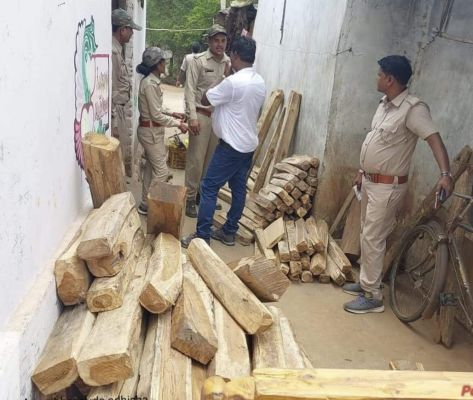 वन विभाग के टीम ने ओडिशा में दबिश देकर 8 लाख के सागौन चिरान, पल्ला, फर्नीचर किया जब्त