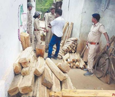 वन विभाग अमले ने ओडिशा में दबिश देकर 8 लाख के सागौन चिरान, पल्ला, फर्नीचर किया जब्त