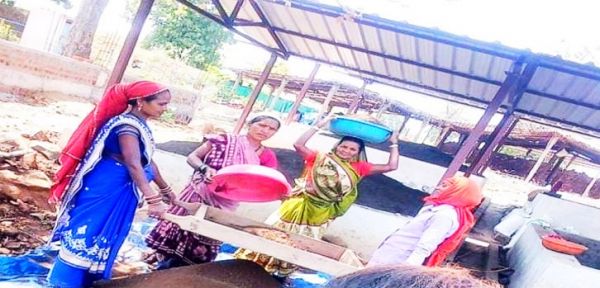 नवागांव बरगांव की महिला समूह बनी मिसाल, वर्मी खाद-प्याज उत्पादन कर कमाया 4.10 लाख
